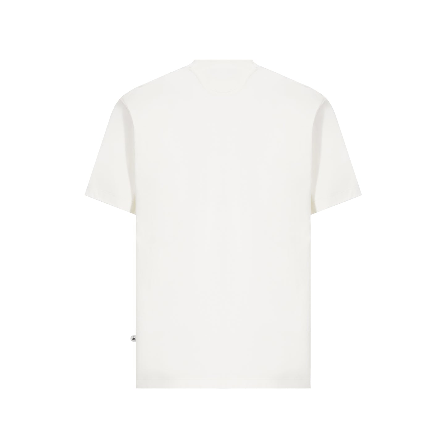 BASIC WHITE