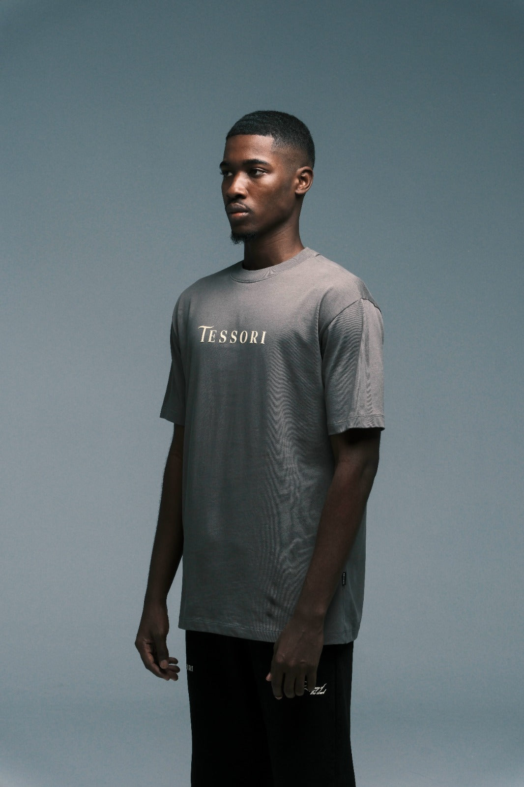 CAMISETA REGENT