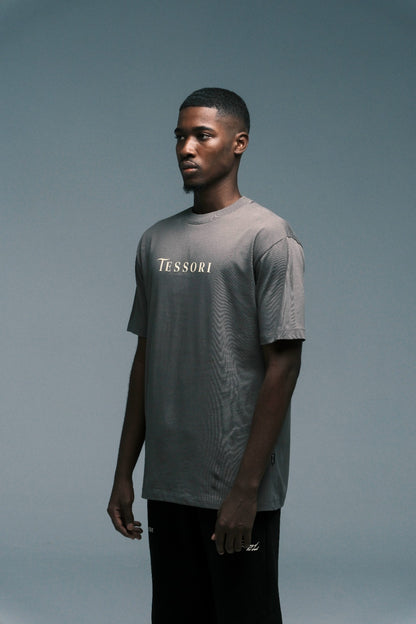CAMISETA REGENT
