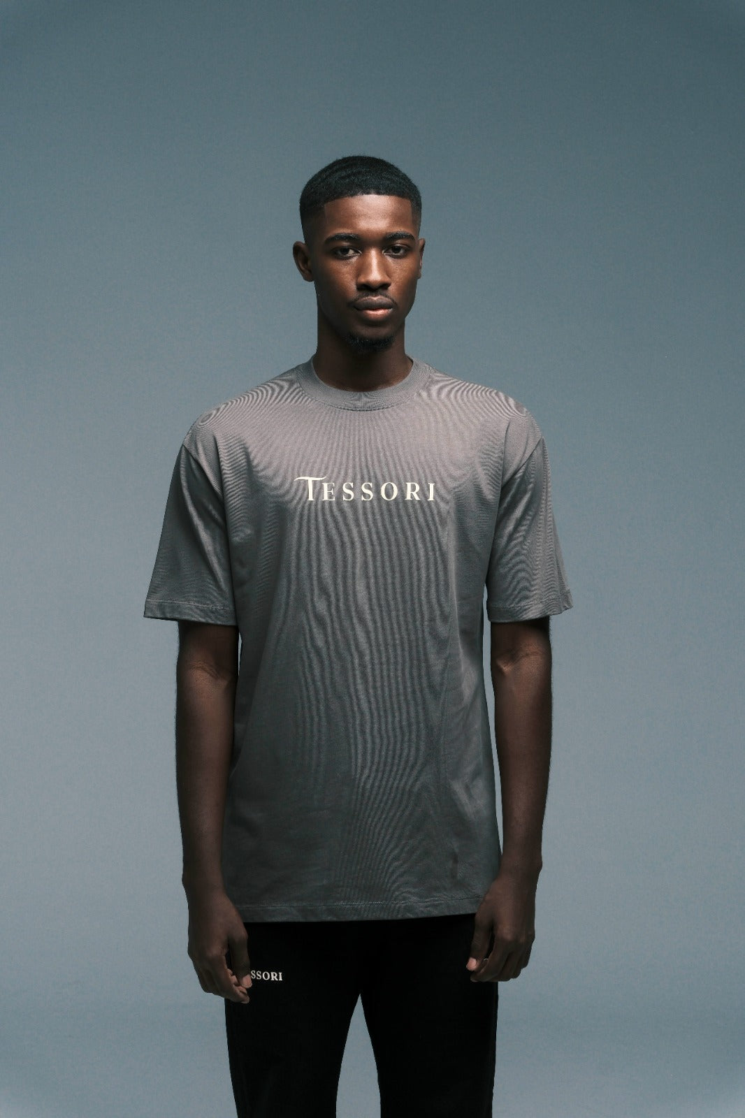 CAMISETA REGENT